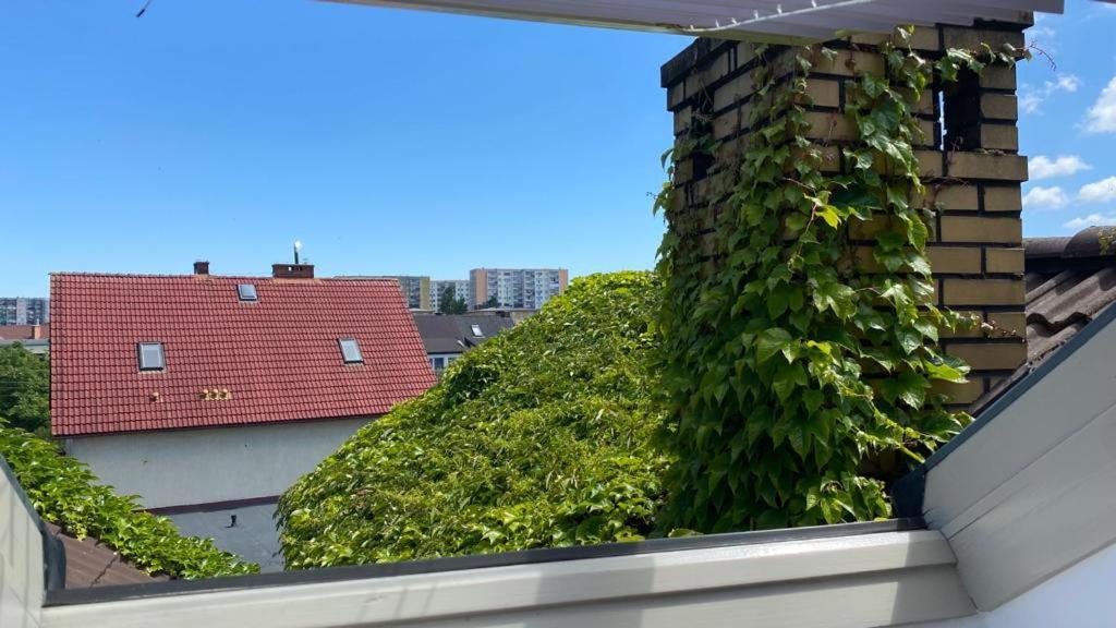 Apartamenty Forest&Sea Świnoujście Δωμάτιο φωτογραφία